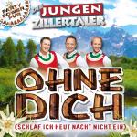 18-04-2013 - reinhard_meynen - die_jungen_zillertaler - cover.jpg